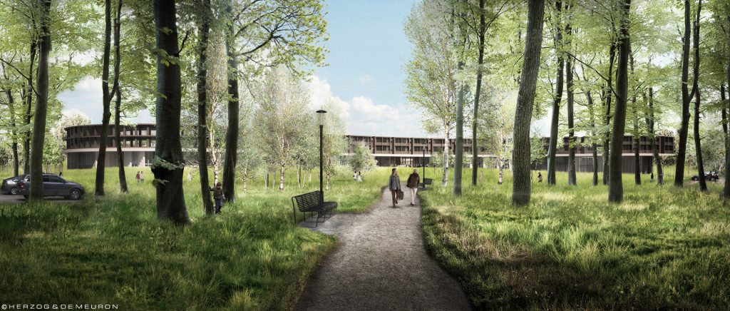 Herzog & deMeuron + Vilhelm Lauritzen Architects: un ospedale nella foresta - 2